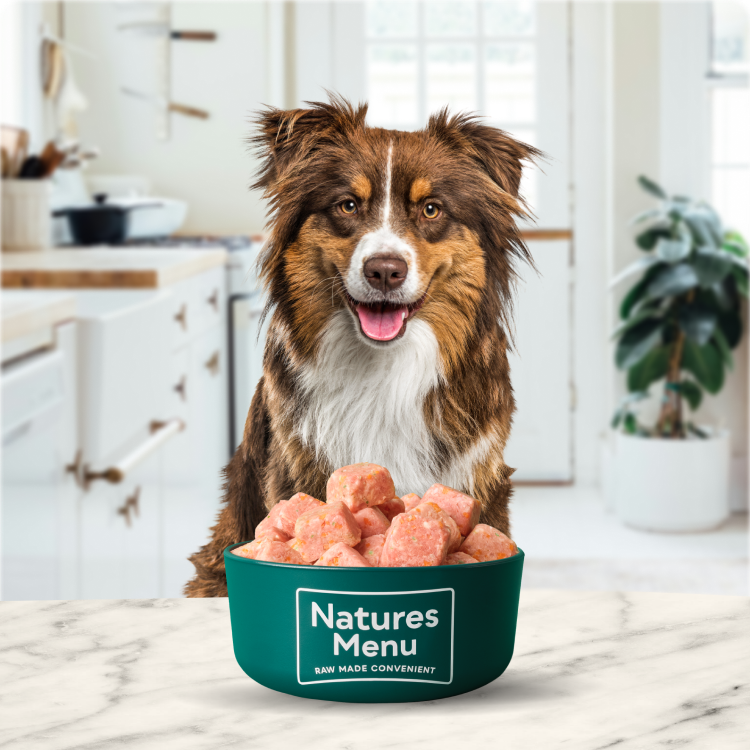 raw-dog-food-cat-food-country-hunter-natures-menu